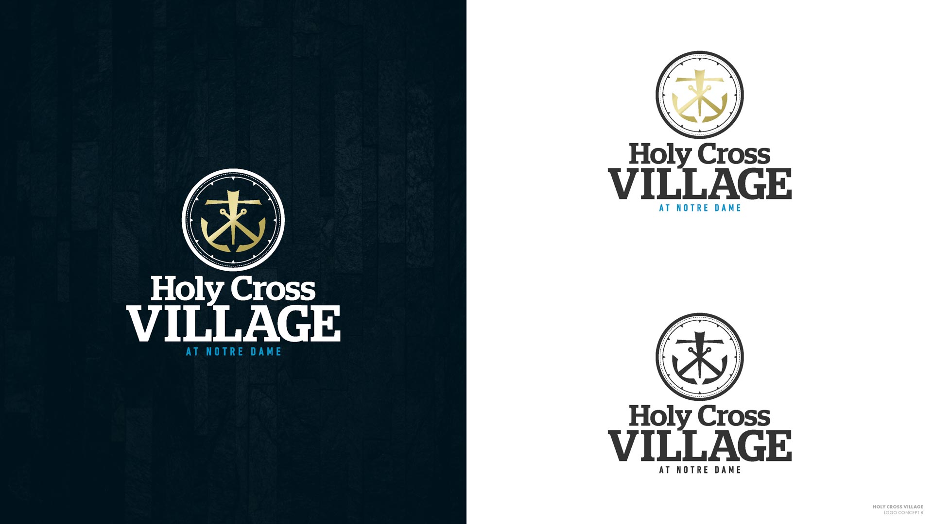 HCV Logo Concepts - Round 1