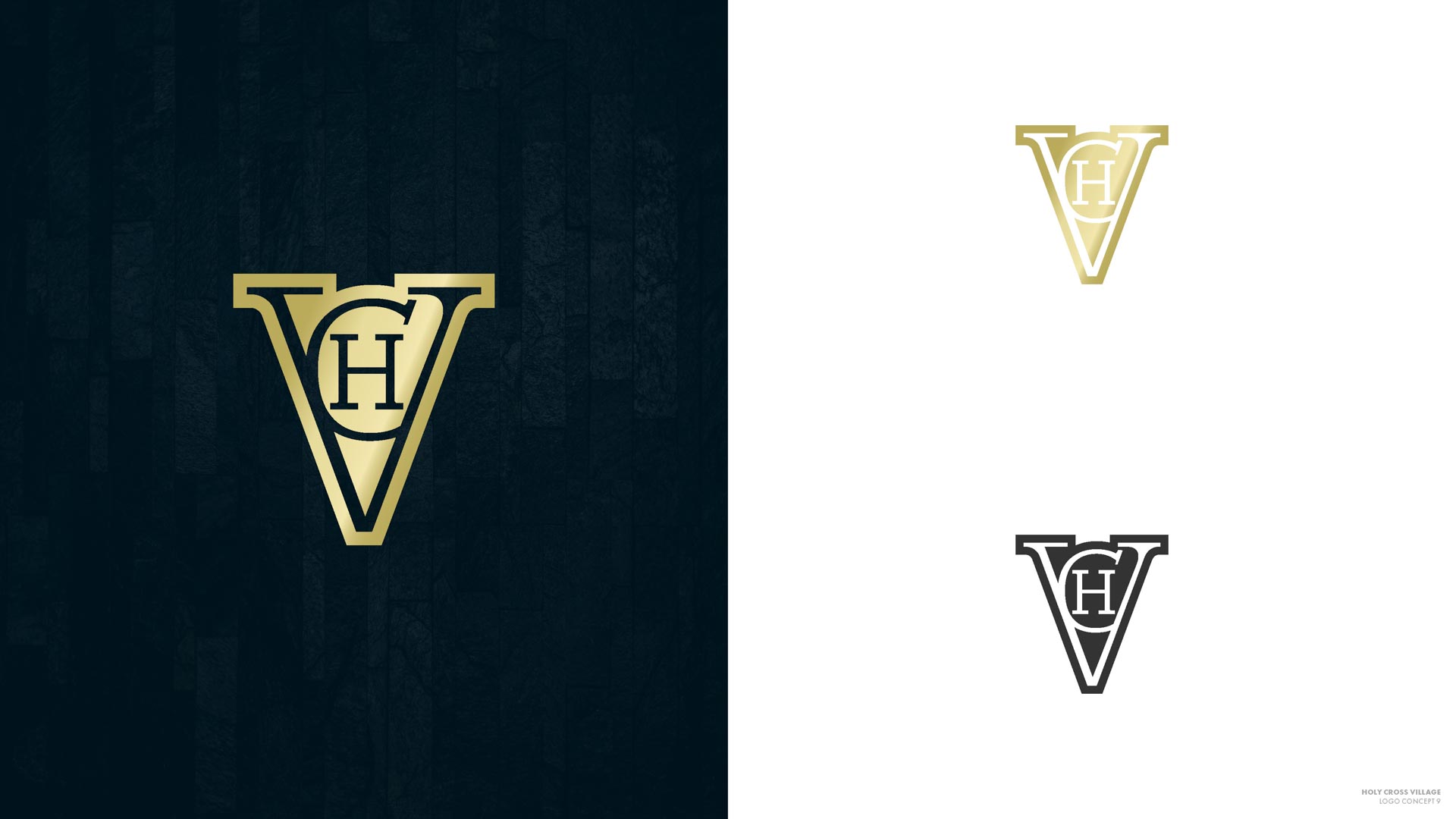 HCV Logo Concepts - Round 1